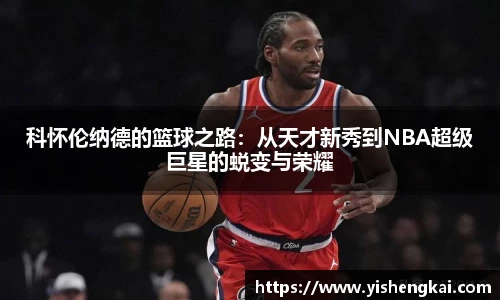 星空·综合体育官网