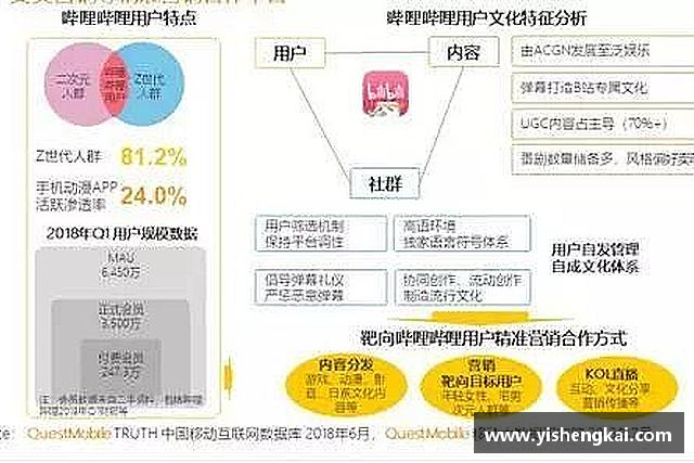 关于星空·综合体育